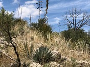 Guadalupe Mountains National Park