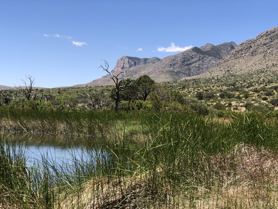 Guadalupe Mountains National Park