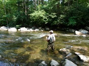 Great Smoky Mountains