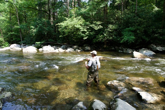 Great Smoky Mountains