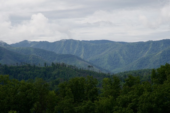 Great Smoky Mountains