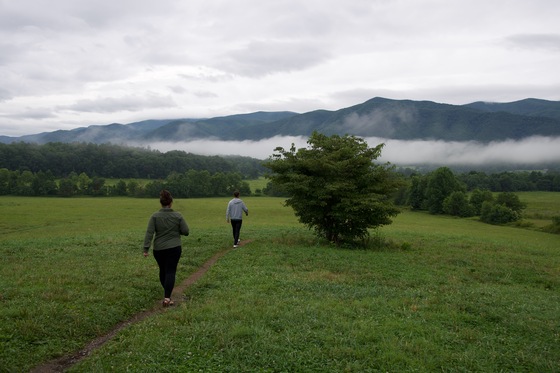 Great Smoky Mountains