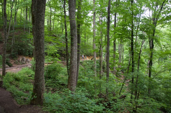 Great Smoky Mountains
