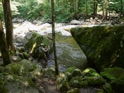 Great Smoky Mountains