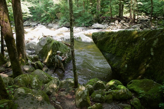 Great Smoky Mountains