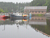 Foggy St. Martins, N.B.