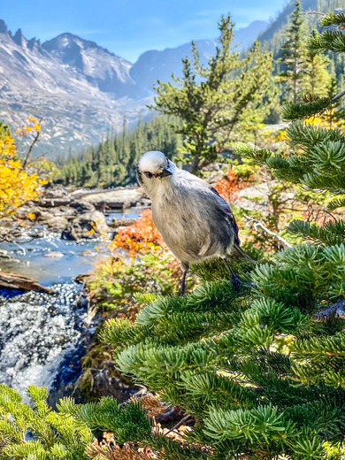 Rocky Mountain National Park