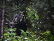 Grand Teton National Park