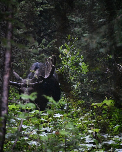 Grand Teton National Park
