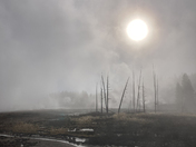 Yellowstone National Park
