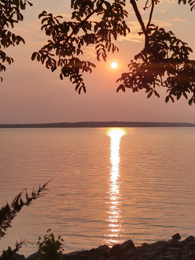 Carlyle Lake