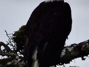 Olympic National Park