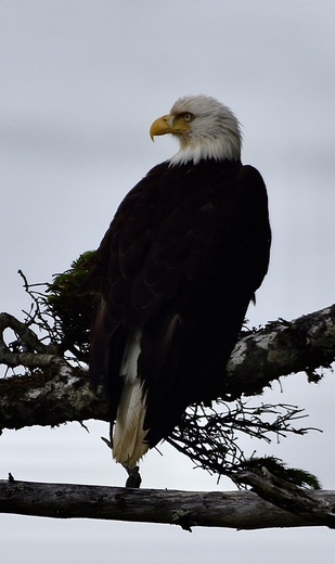 Olympic National Park