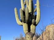 Las Cienegas National Conservation Area