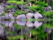 Rocks, trees, water.  