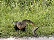 Everglades National Park