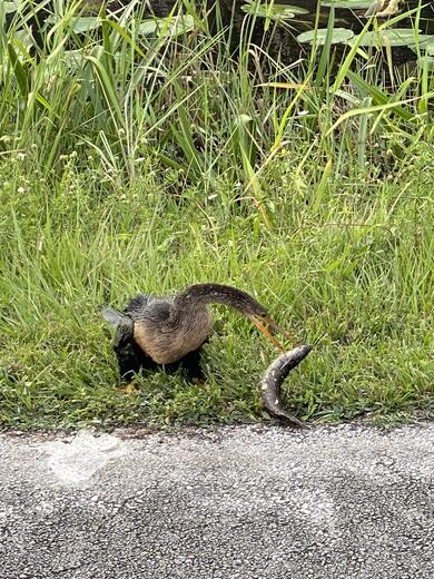 Everglades National Park