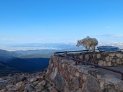 Arapaho & Roosevelt National Forests