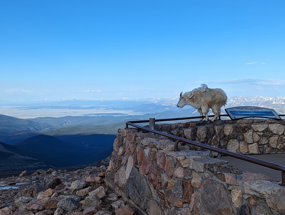Arapaho & Roosevelt National Forests