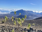 Haleakalā National Park