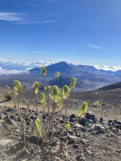 Haleakalā National Park
