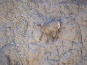 Badlands National Park