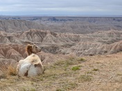 Badlands National Park