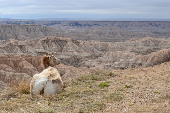 Badlands National Park