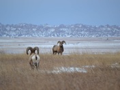 Badlands National Park
