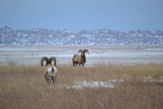 Badlands National Park