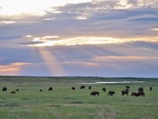 Badlands National Park