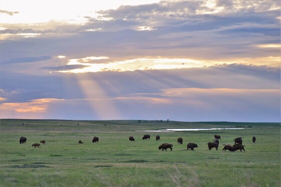 Badlands National Park