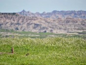Badlands National Park