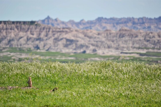 Badlands National Park
