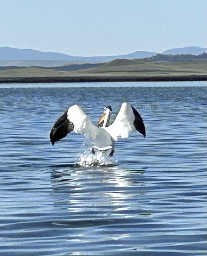 Antero Reservoir 