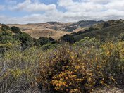 Fort Ord National Monument