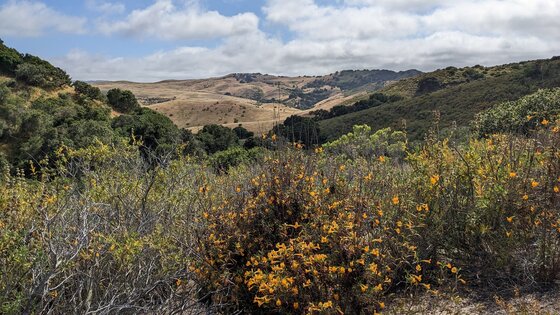 Fort Ord National Monument