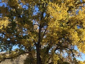 Welch Ranch Special Recreation Management Area