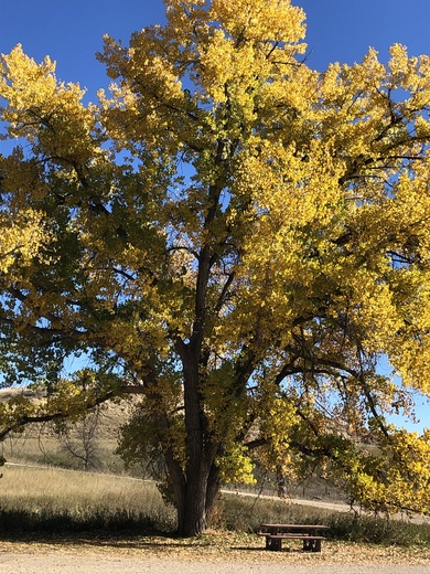 Welch Ranch Special Recreation Management Area