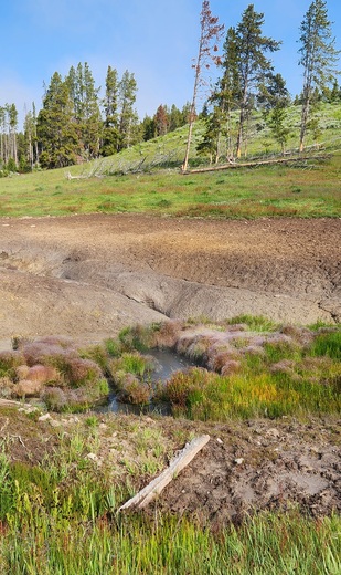 Yellowstone National Park