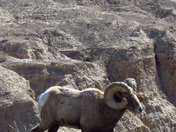 Badlands National Park