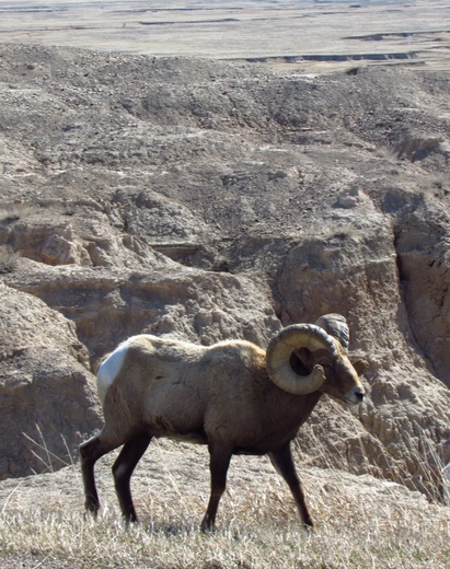 Badlands National Park