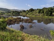 Fort Ord National Monument