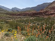 Virgin River Canyon Recreation Area
