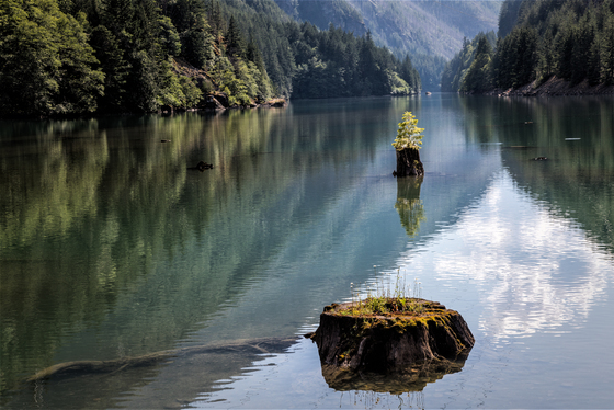North Cascades National Park