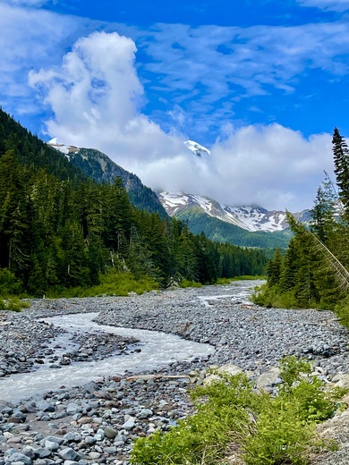 Mount Rainier National Park