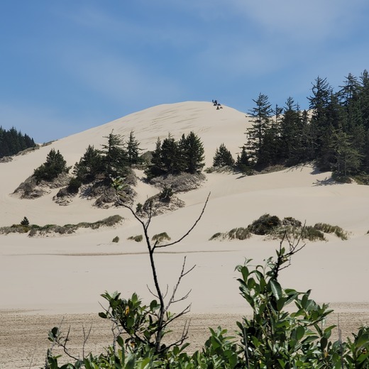 Oregon Dunes National Recreation Area