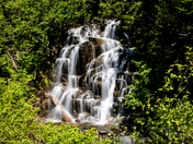 Mount Rainier National Park