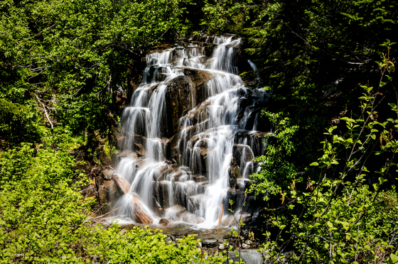 Mount Rainier National Park