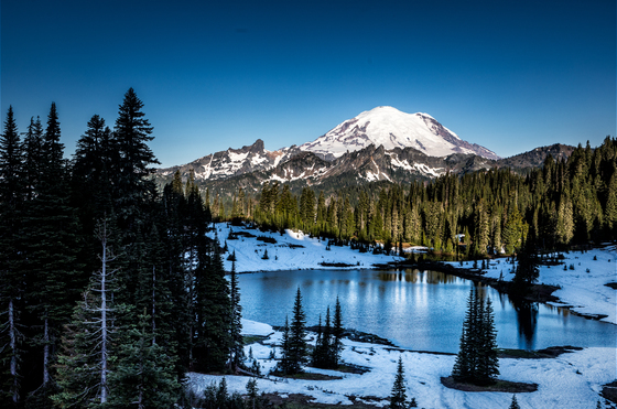 Mount Rainier National Park